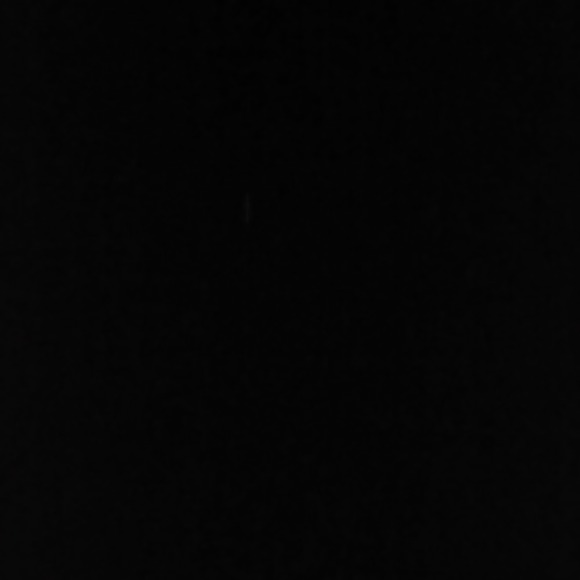 Meet your Posher, Holly - Picture 1 of 1